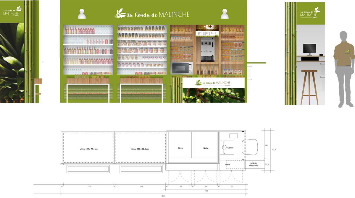 Architecture d'intérieure Elévation colorisée